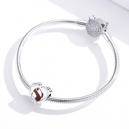 Doctors Heart - Talisman argint