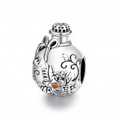 Wishing Bottle - Talisman argint