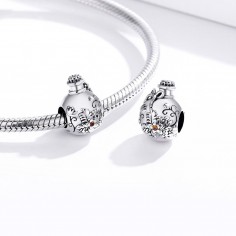 Wishing Bottle - Talisman argint 2