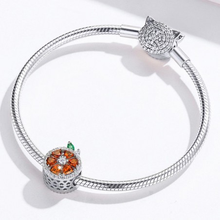 Fresh Citrus - Talisman argint