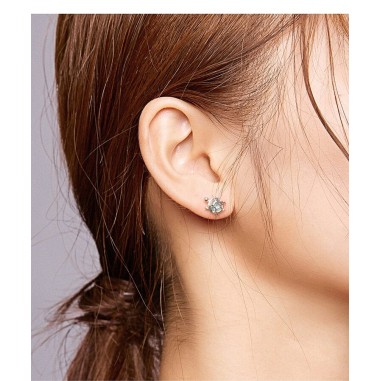 Blue Turtles - Cercei argint