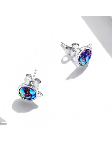 Rainbow Cat - Cercei argint