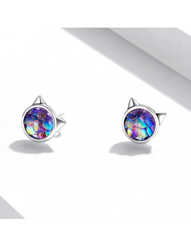 Rainbow Cat - Cercei argint