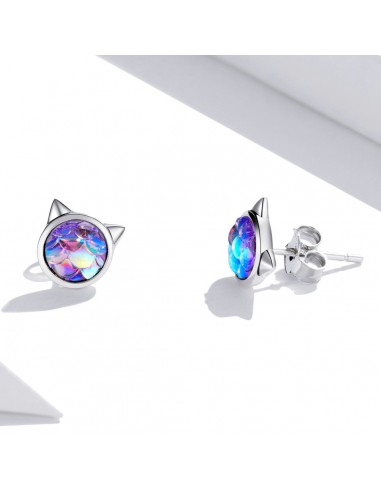 Rainbow Cat - Cercei argint