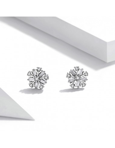 Sparkling Snowflakes - Cercei argint