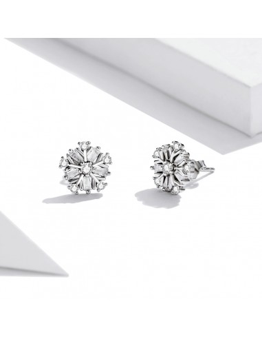 Sparkling Snowflakes - Cercei argint