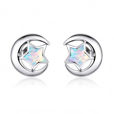 Moon and Star - Cercei argint