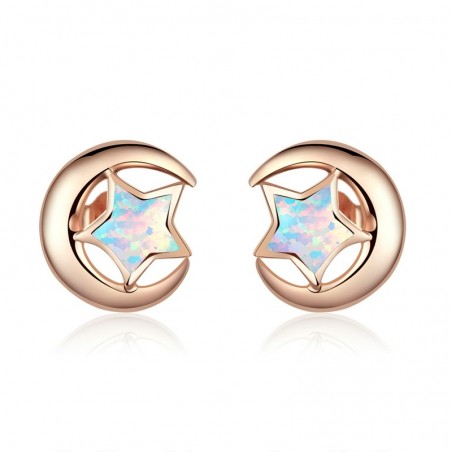 Moon and Star - Cercei argint rose gold