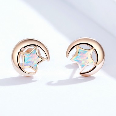 Moon and Star - Cercei argint rose gold