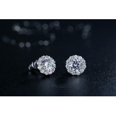 Shiny and Elegant - Cercei placati cu argint 2