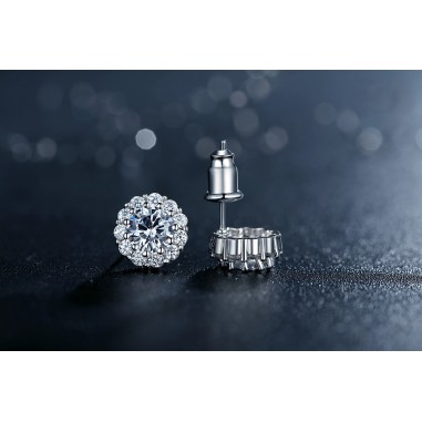 Shiny and Elegant - Cercei placati cu argint